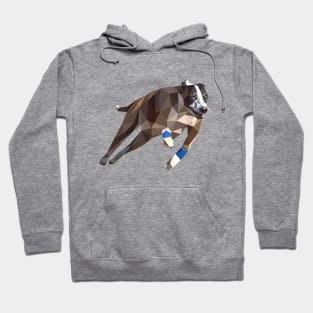 Speedy Greyhound Hoodie